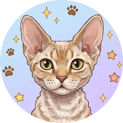 デボンレックスのイラスト