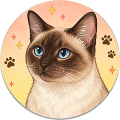 ポイント(シャムミックス)のイラスト