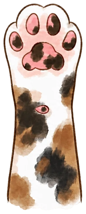 ピンクと黒がまじった肉球